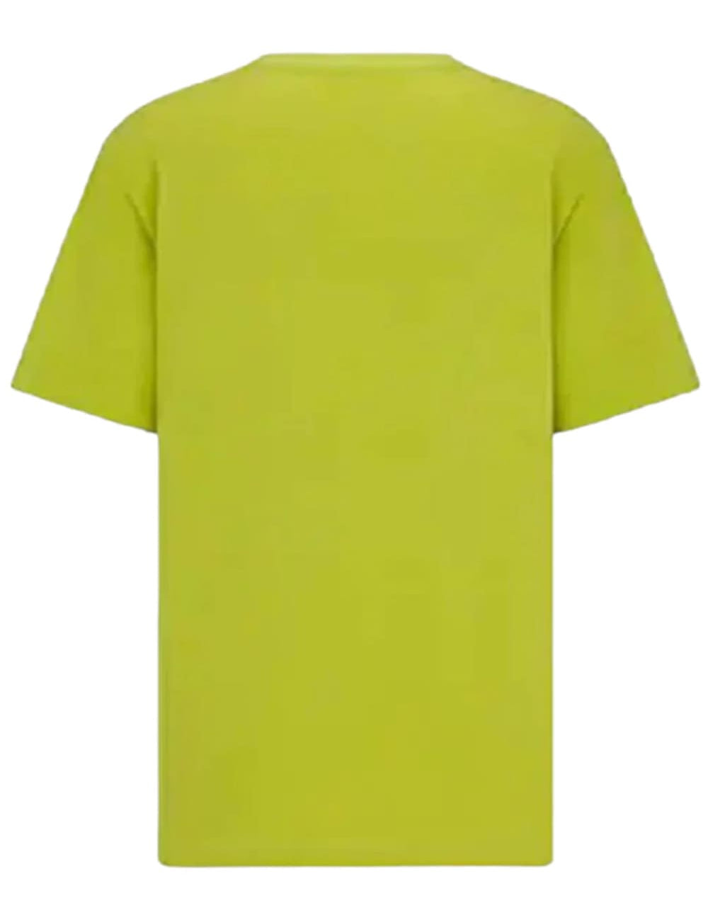Dior CD Icon T-Shirt Green