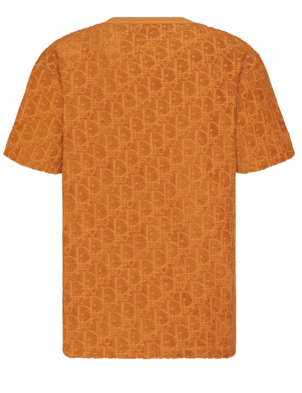 diortshirt_1.png